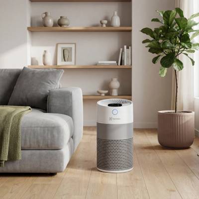 Очиститель воздуха Electrolux EAP-1027D